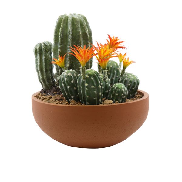 P1223-Flowering Cactus Arrangement-49cm